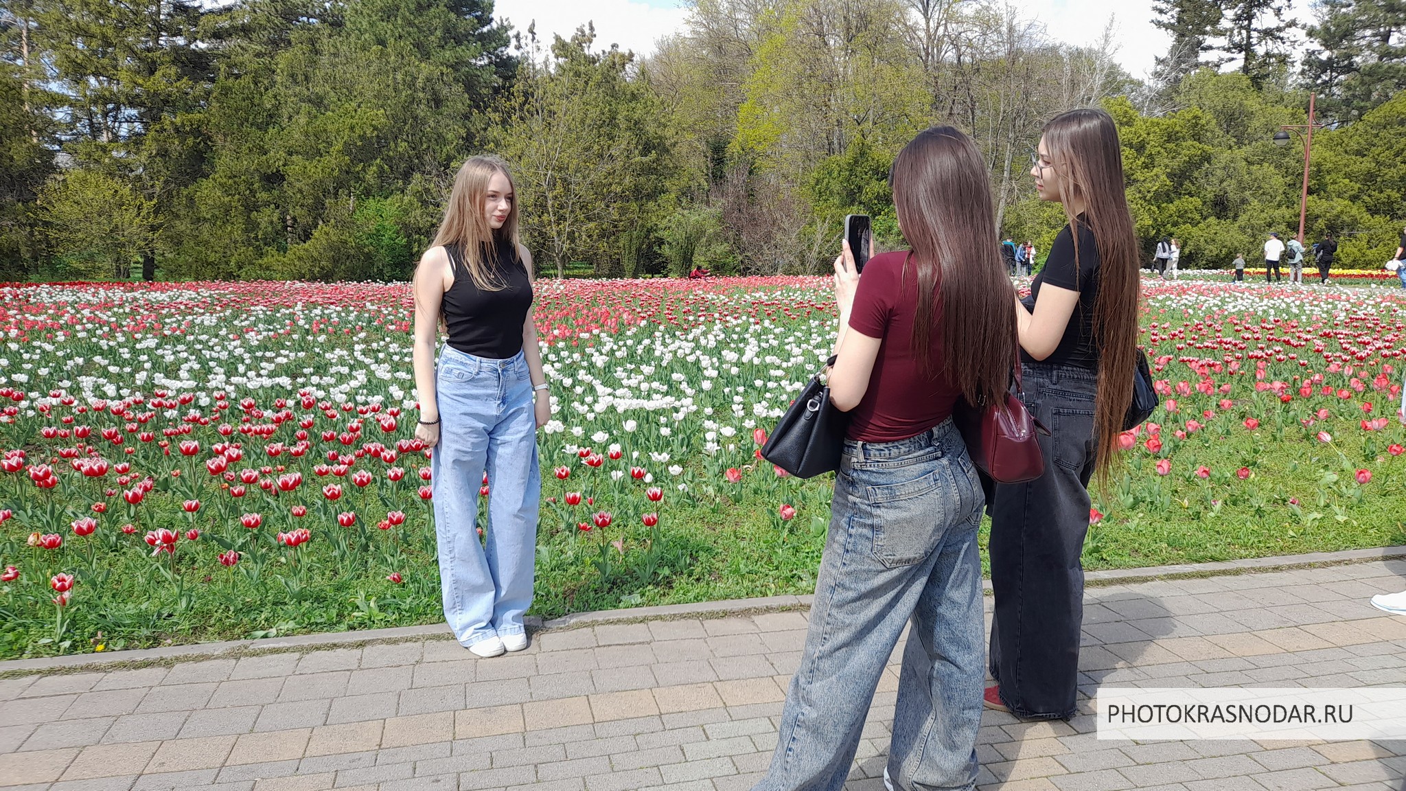 Фестиваль тюльпанов в Краснодаре. Дендрарий
