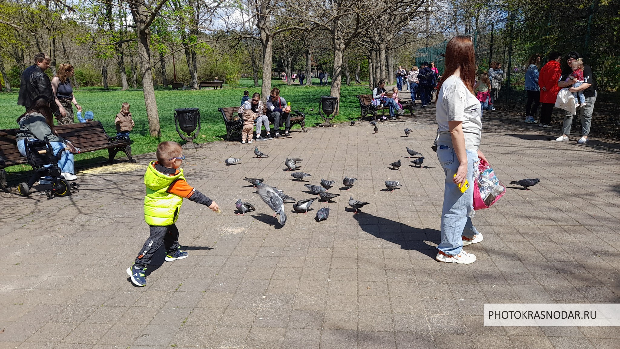Фестиваль тюльпанов в Краснодаре. Дендрарий